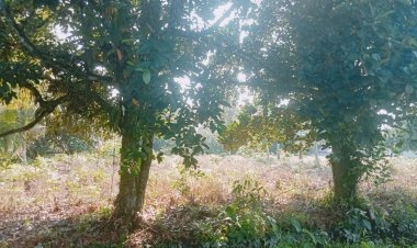 Penyidik Diduga Bermain Mata Terkait Kasus Tanah, Kapolri Diminta Bertindak Tegas