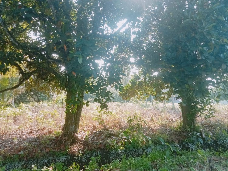 Penyidik Diduga Bermain Mata Terkait Kasus Tanah, Kapolri Diminta Bertindak Tegas