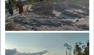 Buk Minah Tepis Dugaan Sebagai Pemodal dan Penyuplai BBM Minyak Saya Beli Untuk Bekerja dan Mereklamasi Lahan Bekas Tambang