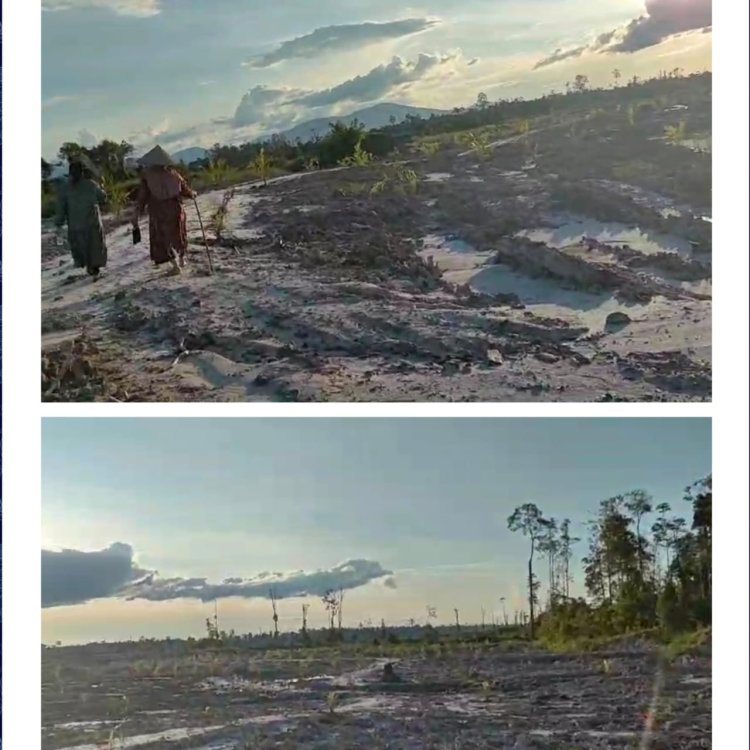 Buk Minah Tepis Dugaan Sebagai Pemodal dan Penyuplai BBM Minyak Saya Beli Untuk Bekerja dan Mereklamasi Lahan Bekas Tambang