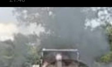 Lanting Jek PETI di Kecamatan Suhaid Masih Beroperasi Diduga Dibawah Koordinasi H. RS