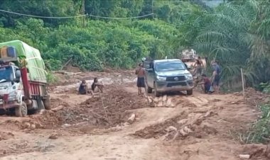 Preman Kuasai Jalan Rusak di Ketapang Warga Dipalak di Tengah Lumpur