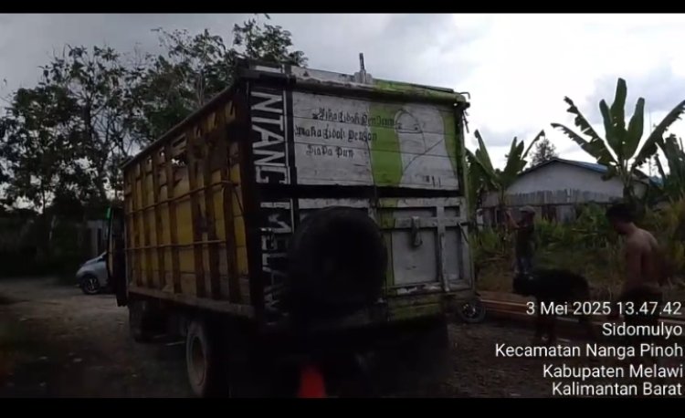 Polda Kalbar Amankan Truk Bermuatan Kayu Ilegal di Melawi