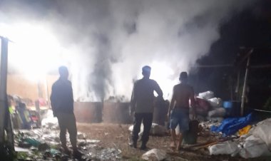 Pembakaran Arang Ilegal di Selayar Tak Tersentuh Hukum, Warga: Hukum Kalah oleh "Mas Pamen"