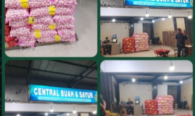 Skandal Bawang Putih Ilegal di Pontianak: Ketika Mafia Pangan Tertawa, Hukum Diam Membisu