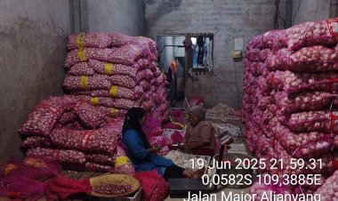 Skandal Bawang Putih Ilegal di Kubu Raya: Ketika Mafia Pangan Tertawa, Hukum Diam Membisu