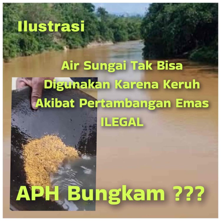 Warga Suhaid (WS) Ungkap Pertambangan Emas ILEGAL Semakin Merajalela, di Duga Ada Kades Bernama Moses Yang Mengkoordinir, BBM Solar Disuplai Oleh "Kacang Hijau"