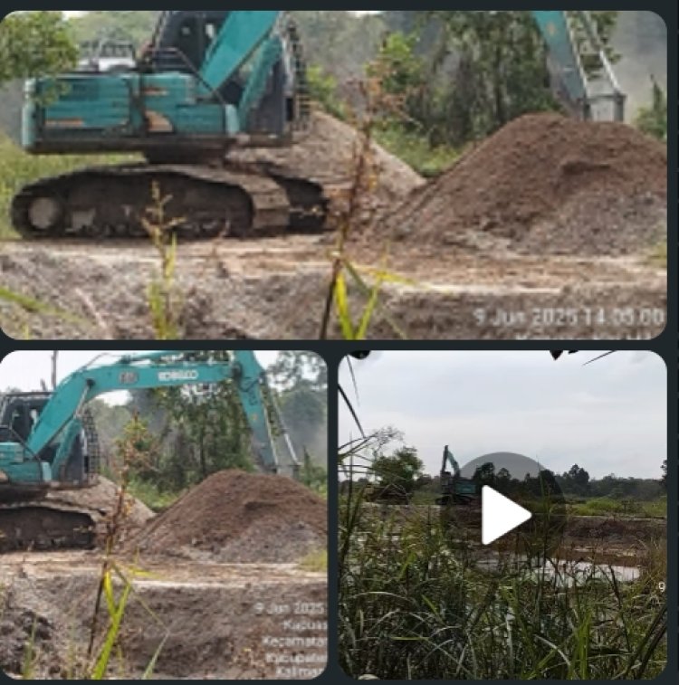 Terbidik Kemera Kuat Dugaan Alat Berat Beroperasi Di Lahan Bekas Tambang Emas Peti
