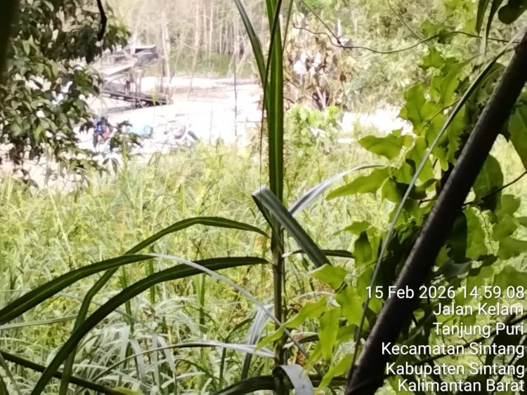 Tambang Ilegal Terang Terangan di Permukiman Warga Kabupaten Sintang, Aparat Dinilai Tutup Mata