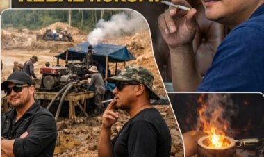 "SKANDAL BENGKAYANG: Jaringan AP 'Kebal Hukum', Oknum APH Diduga Jadi Tameng Utama"