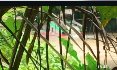 Dugaan Keterlibatan Oknum Polisi dalam Aktivitas PETI di Sekadau Disorot