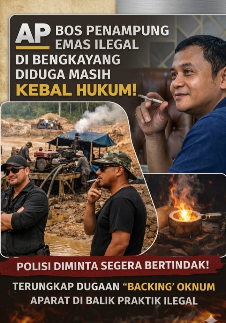 "SKANDAL BENGKAYANG: Jaringan AP 'Kebal Hukum', Oknum APH Diduga Jadi Tameng Utama"