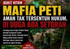 Mafia PETI Bukit Hitam Diduga Dilindungi Oknum, Razia Diduga Hanya Formalitas