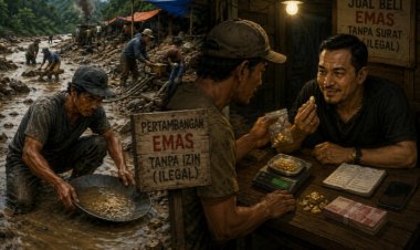 DUGAAN PETI BELIMBING MEMANAS, PUBLIK TAGIH KETEGASAN KAPOLRES KAPUAS HULU