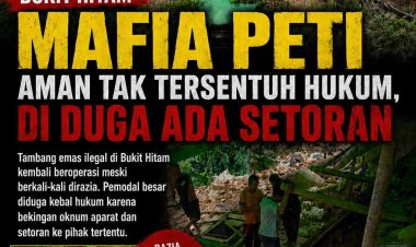 Mafia PETI Bukit Hitam Diduga Dilindungi Oknum, Razia Diduga Hanya Formalitas