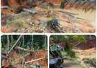 Dugaan Aktivitas PETI Kembali Marak di Nanga Taman Sekadau, inisial KK kordinator lama kembali